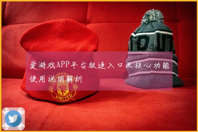 爱游戏APP平台极速入口及核心功能使用说明解析